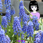 青い花とフーガちゃん